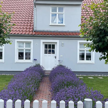 Apartament Haus Vicus Greifswald Zewnętrze zdjęcie