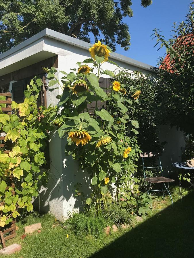 Apartament Haus Vicus Greifswald Zewnętrze zdjęcie