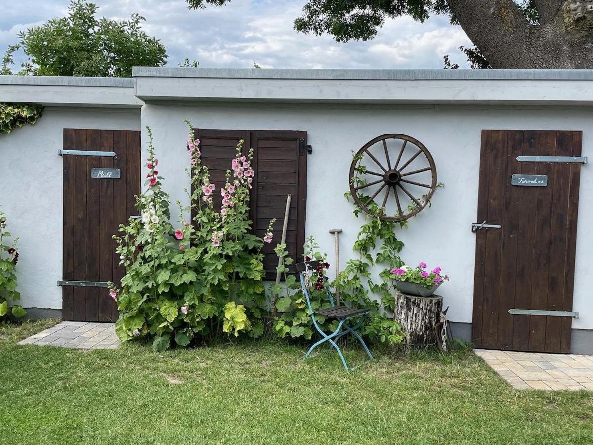 Apartament Haus Vicus Greifswald Zewnętrze zdjęcie