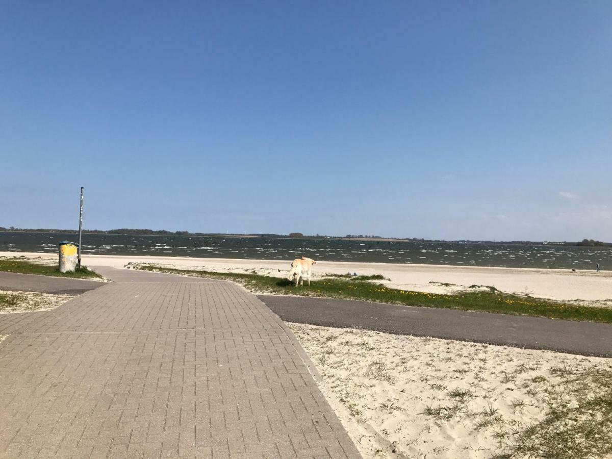 Apartament Haus Vicus Greifswald Zewnętrze zdjęcie