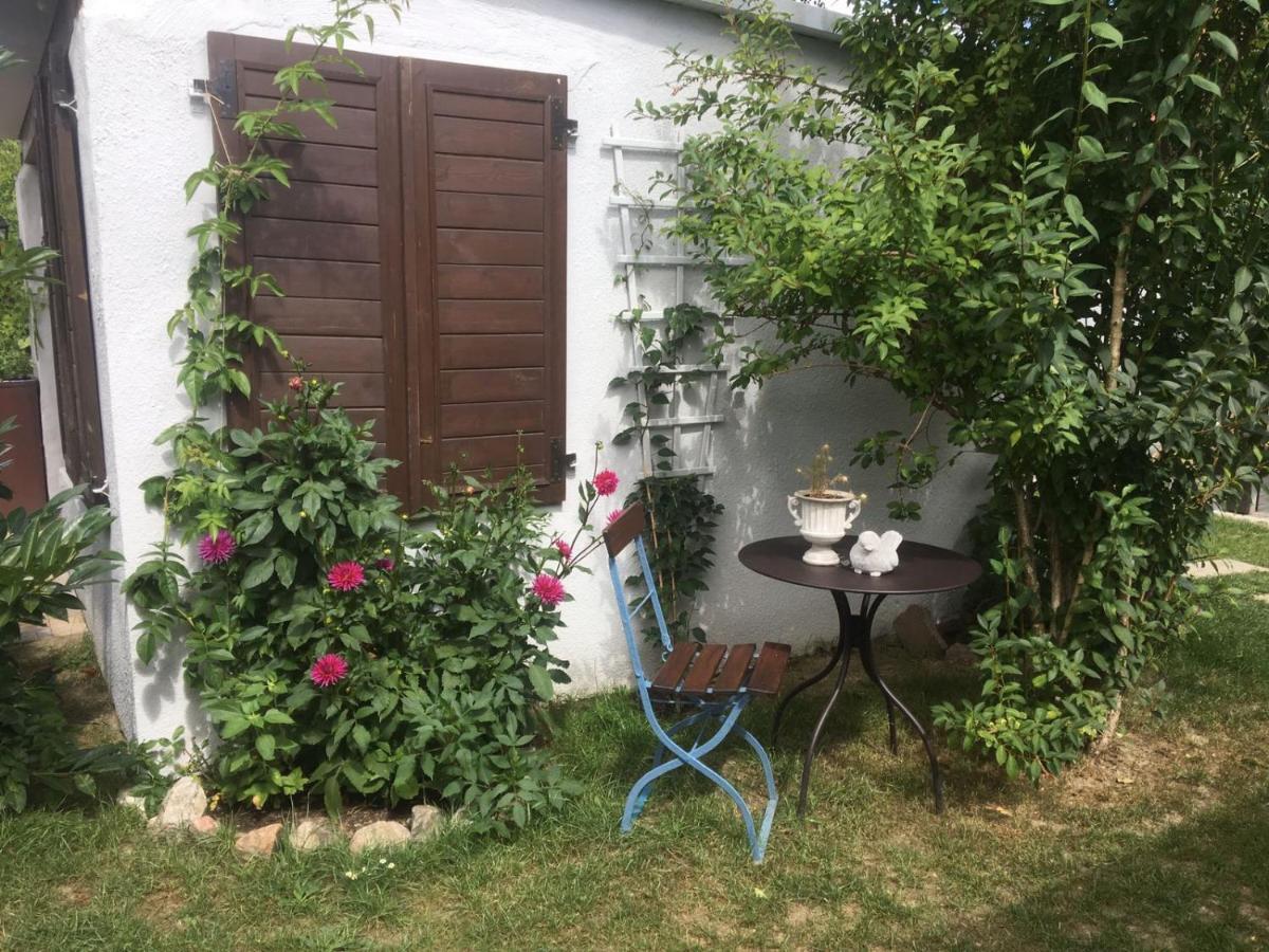 Apartament Haus Vicus Greifswald Zewnętrze zdjęcie